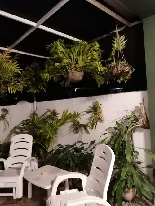 WhatsApp Image 2020-03-30 at 11.04.44 (3)